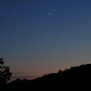 Meet your Posher, Trace